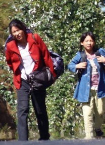 一区二区电影网
